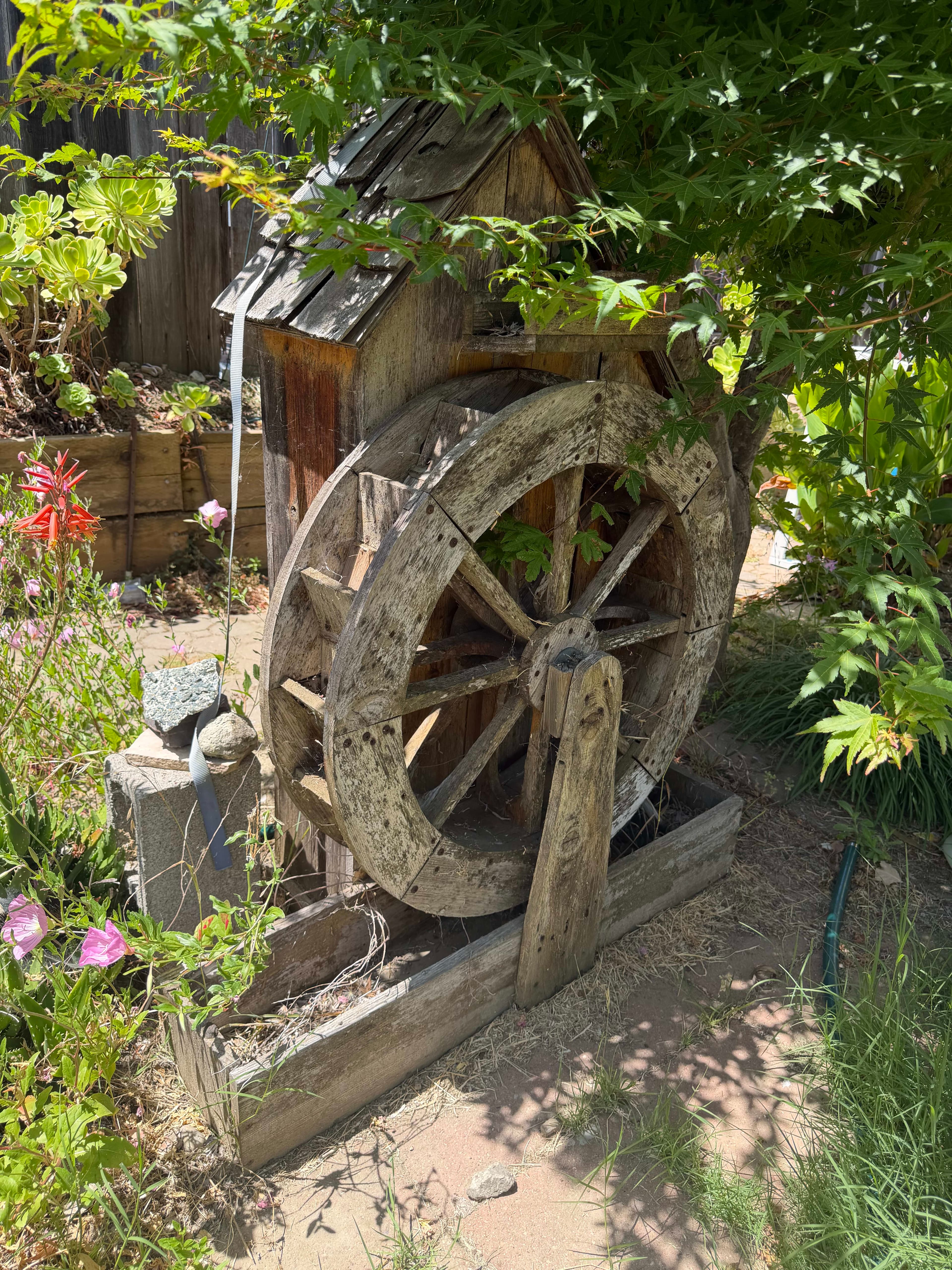 Grasons Co of CCC - Garden and More at Martinez Estate Sale
